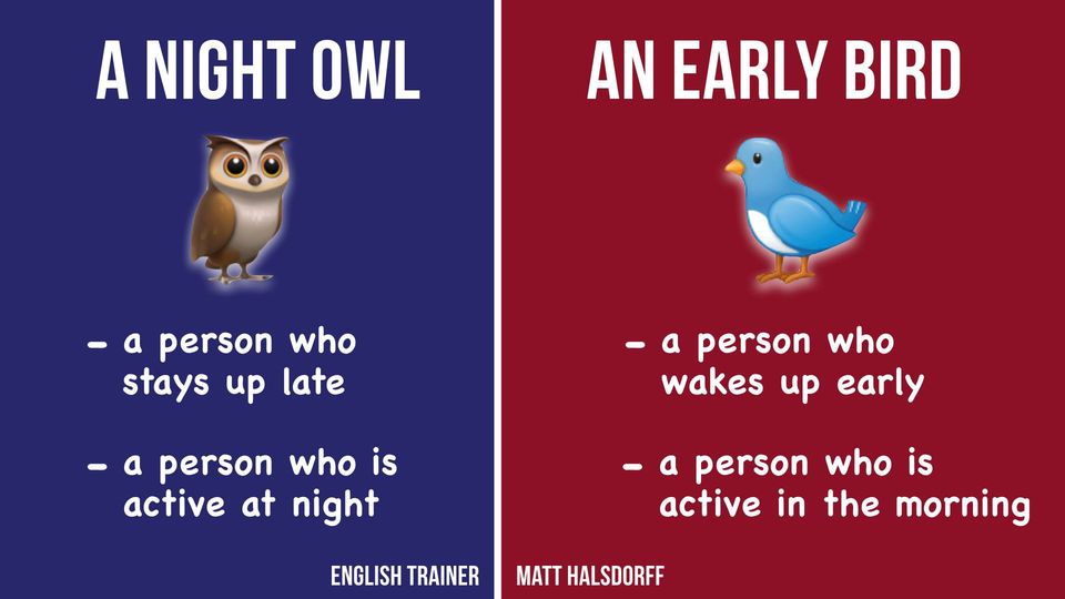 morning bird night owl meme