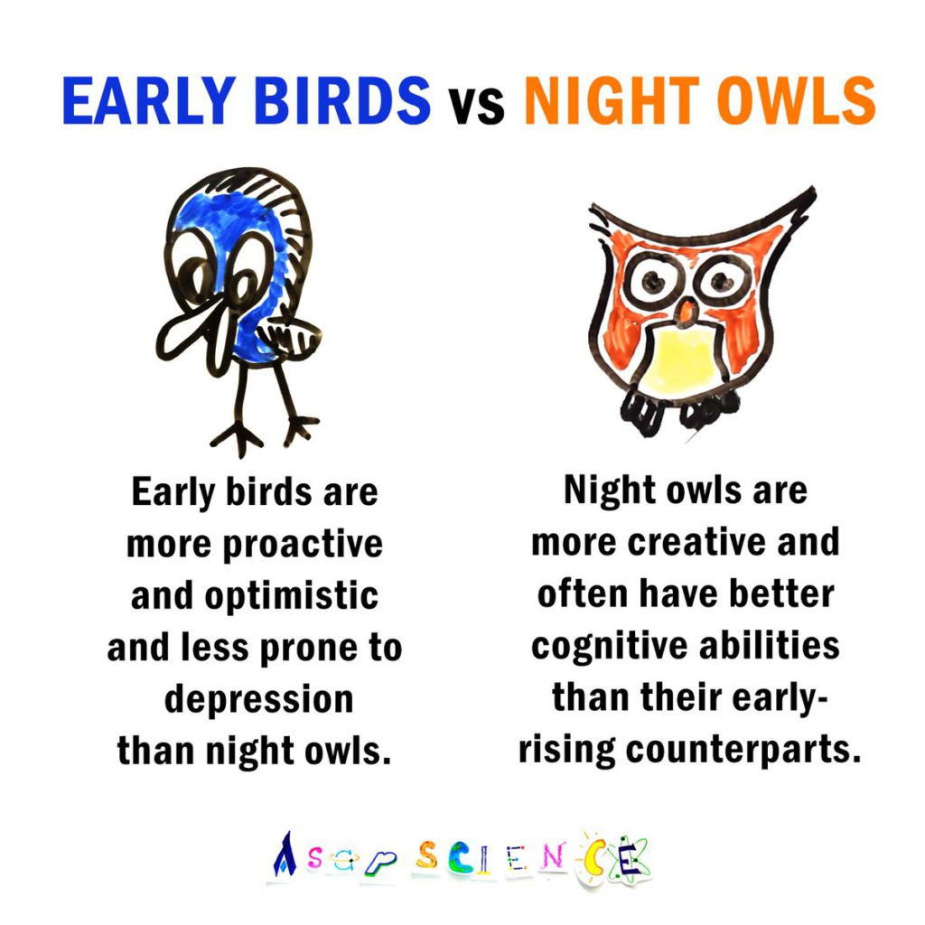 lularoe night owl meme